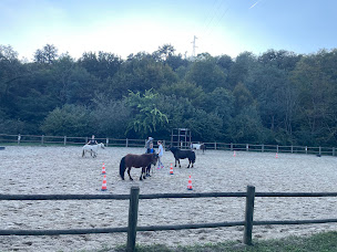 Photo n°31 de Poney Club de Barny à Beauvallon (Centre équestre)