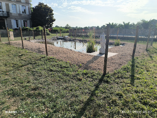 Ô naturelle piscine et bassin - Thumbnail