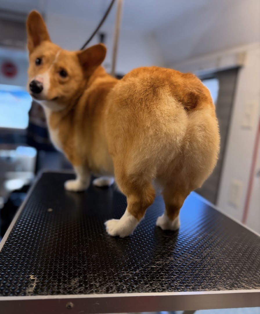 Ruff Riders Mobile Grooming