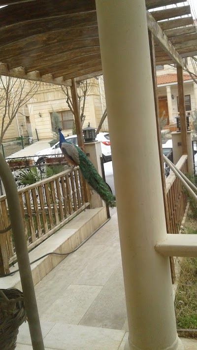Photos of Kurdish Jewish Community KJC