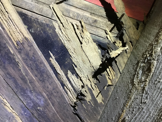 Bald Eagle Home Inspection