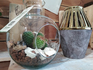 Photo n°10 de VINS TERROIRS ET FLEURS à Brassac (Cave à vins)