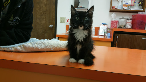 Cornelius Veterinary Clinic Gallery - United States