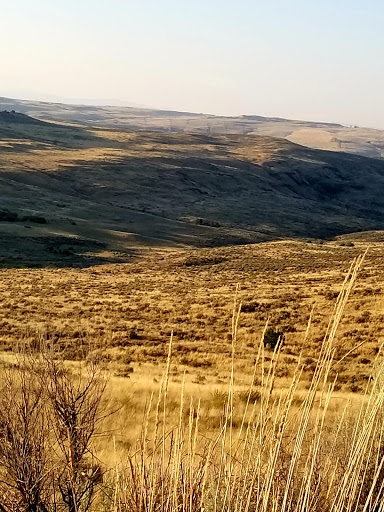 Wells Wildlife Area