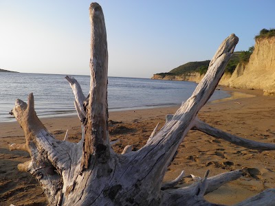 Photos of La Playita