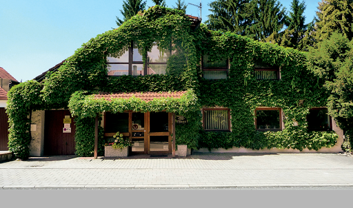 Veterinary practice Dambach - Visual