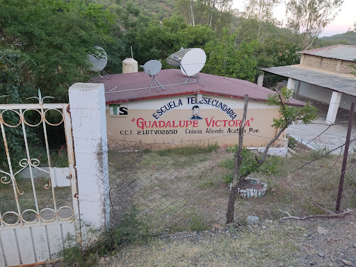 Tsec Guadalupe Victoria, 21DTV0285D. - Thumbnail