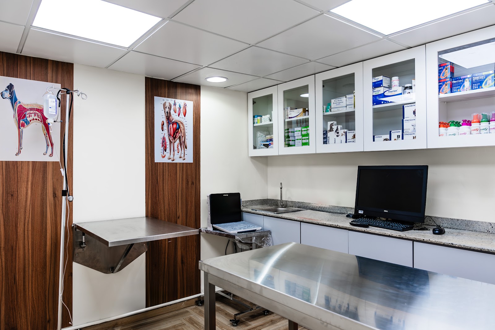 Best Pet Vet - Veterinary clinic - صورة 4