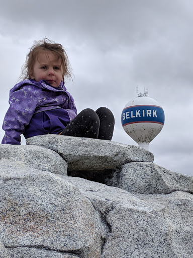 Selkirk Water Tower - Thumbnail