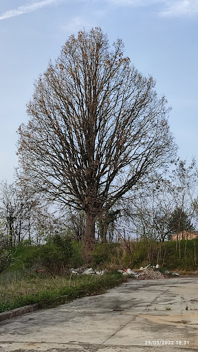 Sidoli Giuseppe - Visual
