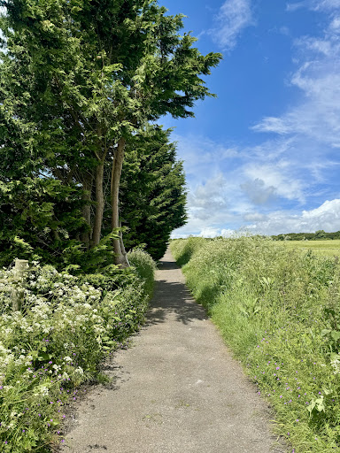 Devils Dyke Trail - Visual