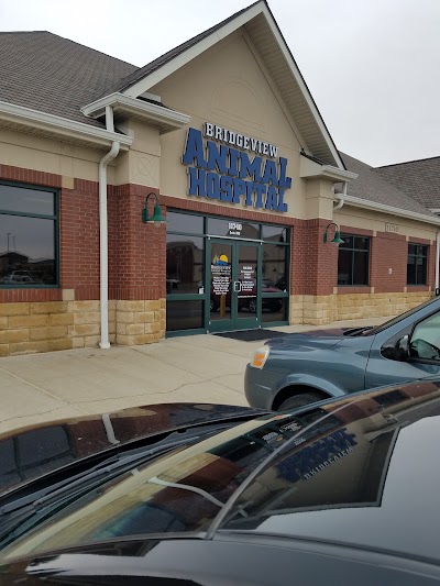 Photos of Bridgeview Animal Hospital