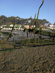 Photo n°7 de SCI DOMAINE DE BARREJAT à Lège-Cap-Ferret (Gîte)
