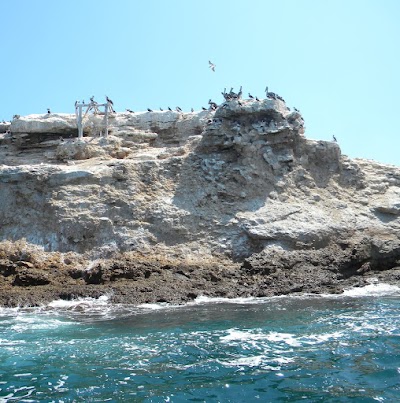 Photos of Islote Pelado