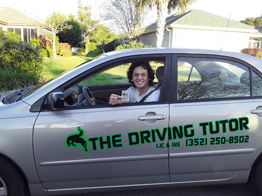 The Driving Tutor - Visual