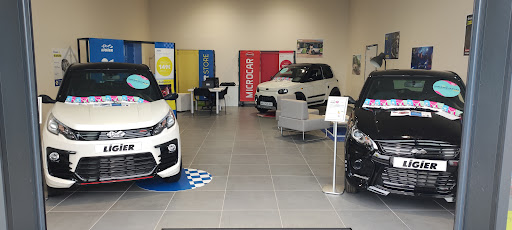 LIGIER STORE - RIESTER MOBILITÉS - VOITURES SANS PERMIS LIGIER ET MICROCAR Gallery - France