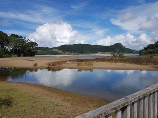 Opoutere Beach Public Park. - Thumbnail