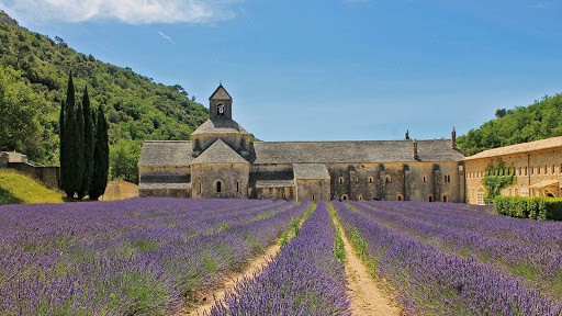 Fédération de Campings Sud de France PACA Provence Alpes Cote d'Azur Gallery - France