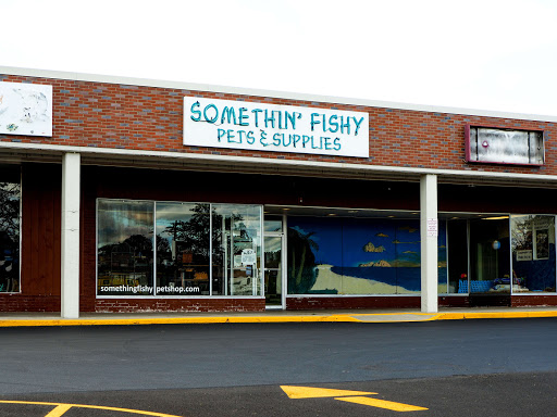 Something Fishy Pets - Visual