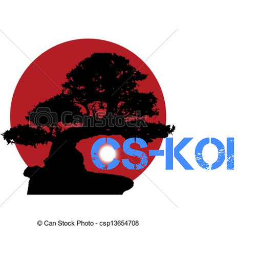 CS-KOI Christian Schmidt - Visual