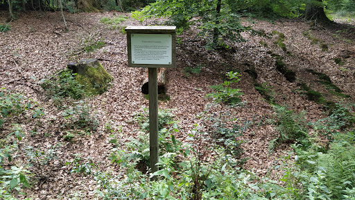 Niesterwitten Guotenlock