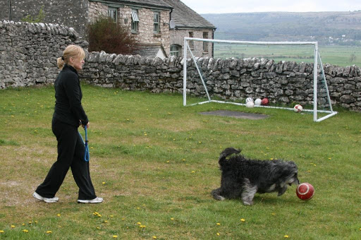 Grassgarth Boarding Kennels - Thumbnail