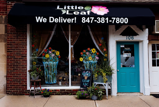 Little Leaf Inc.