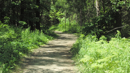 Boisé du Parc équestre - Thumbnail