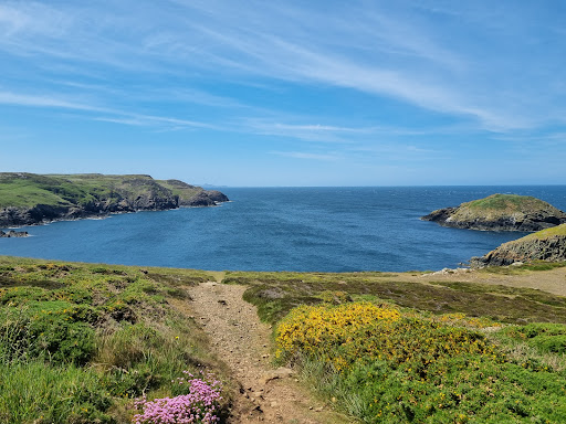 Strumble Head - Visual