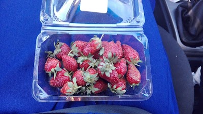 Photos of FOOD LOVER'S MARKET