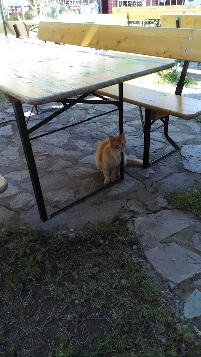 Photos of Shtepia E Birres Kaon