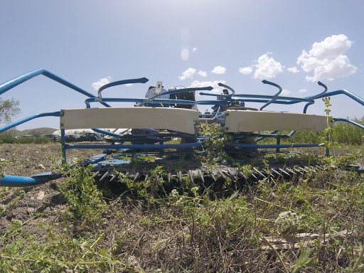 Azienda agricola Don Alfonso - Thumbnail