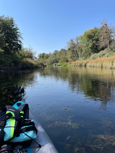 Lake Natoma Island - Thumbnail