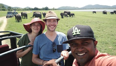 Photos of Minneriya Jeep Safari Service