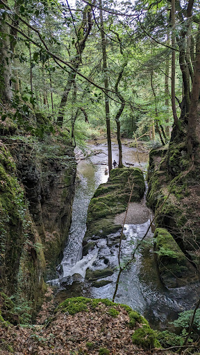 Ffynone Waterfall - Thumbnail