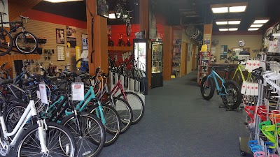 The Bike Shop