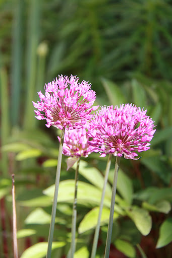 Meridian Township Natural Area Gallery - United States