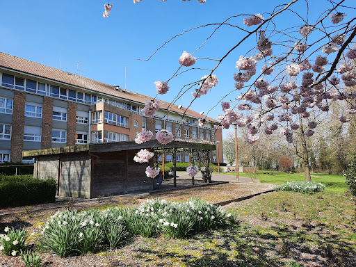 Photo de Résidence Colisée Le Château du Bois à Nortkerque (62370)