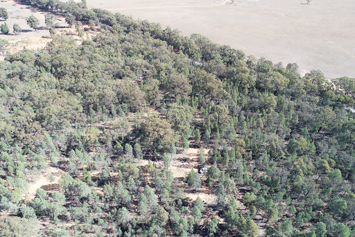 Wongarbon Cemetery