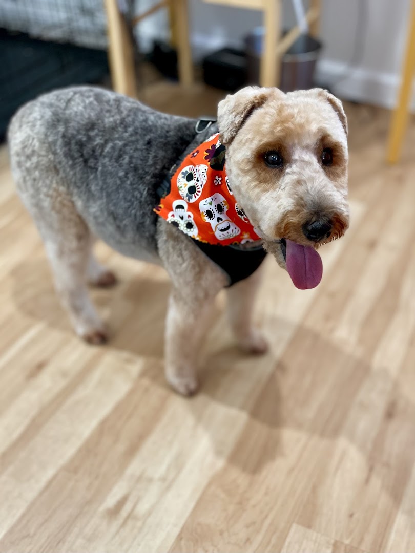 Peace, Love, and Grooming!