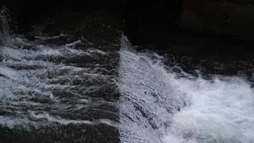 Fairview Fish Cultural Station