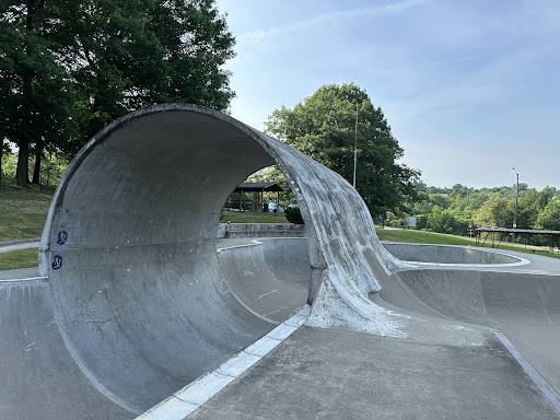 Pitcher Park Memorial Skatepark Logo