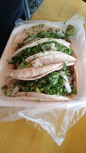 Taco Chay - Visual