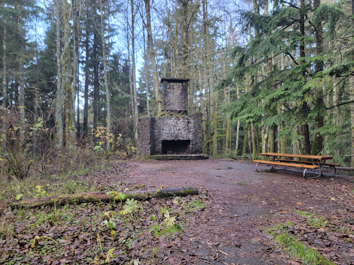 Squak Mountain State Park Natural Area - Thumbnail