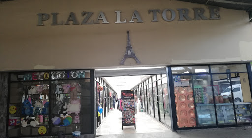 Plaza La Torre Logo