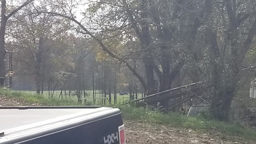 Backyard Bison - Visual