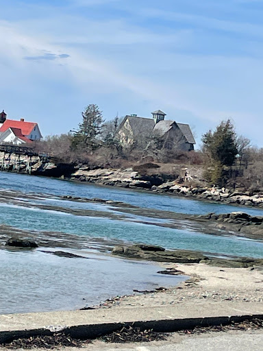 Hendrick's Head Beach - Visual