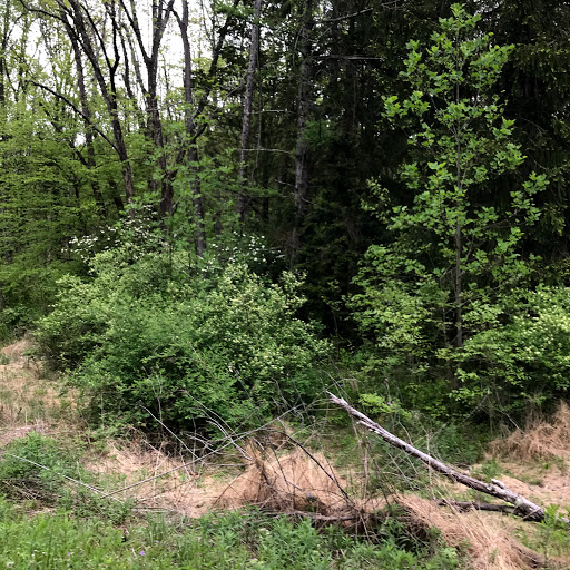Bushkill Township Trail Gallery - United States