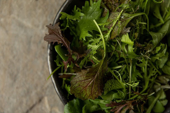 Kinloch Lodge by null