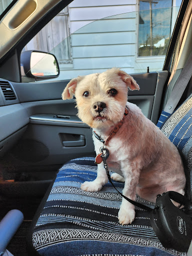 Louie's Barker Shop - Thumbnail